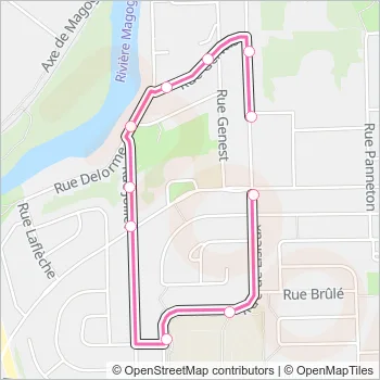 6 Bus Line Map