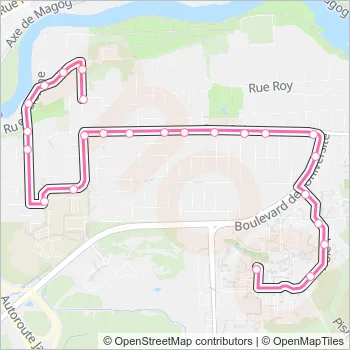 6 Bus Line Map