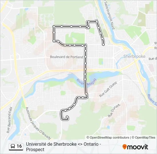 16 Bus Line Map