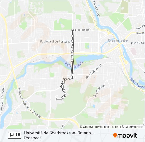 16 Bus Line Map