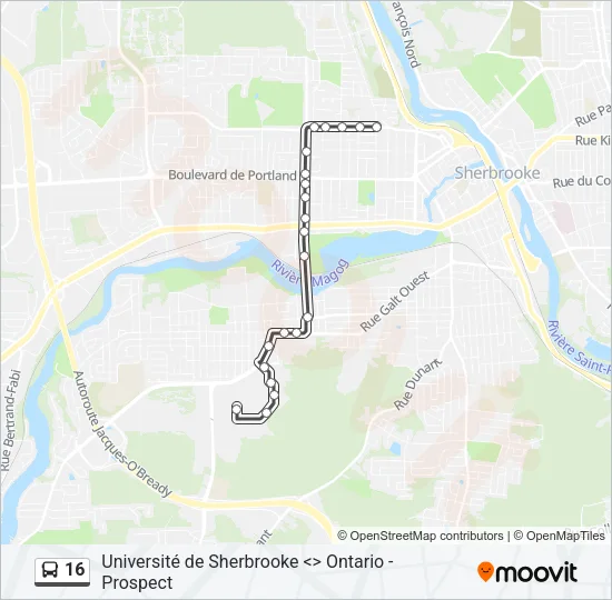 16 Bus Line Map