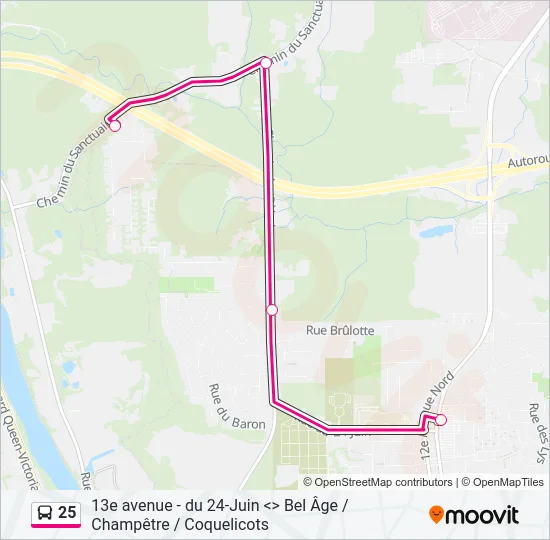 25 Bus Line Map