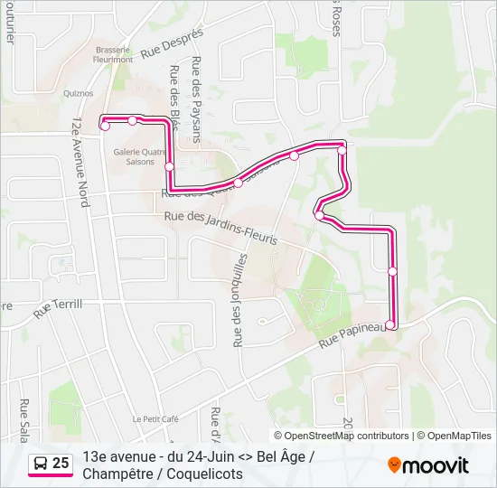 25 Bus Line Map