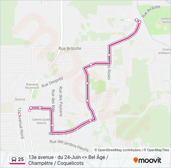 25 Bus Line Map