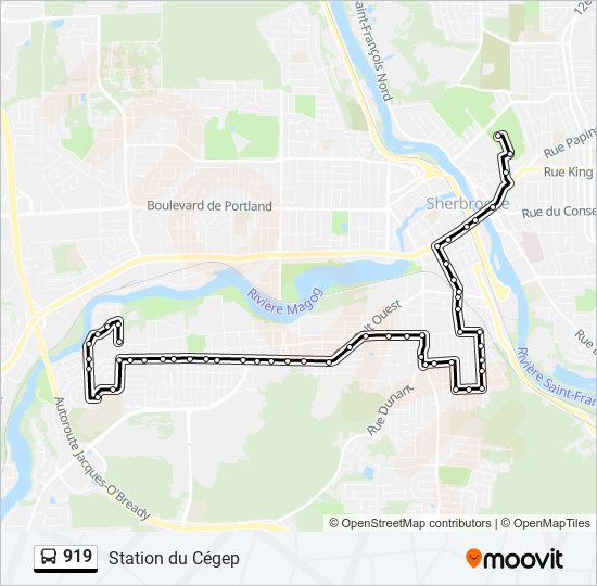 919 bus Line Map