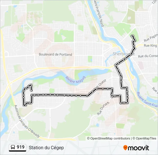Plan de la ligne 919 de bus