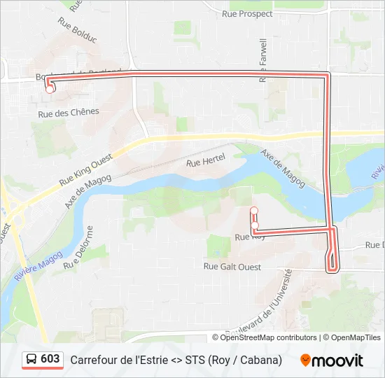 603 Bus Line Map