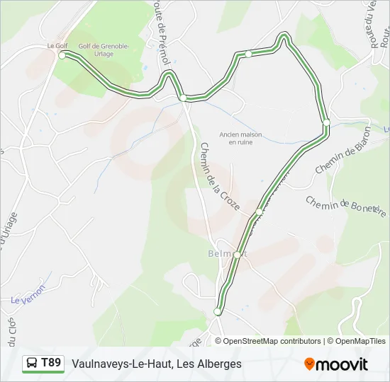 T89 Bus Line Map