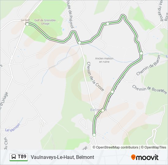 T89 bus Line Map