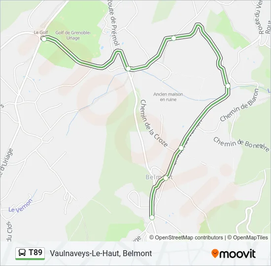 T89 Bus Line Map