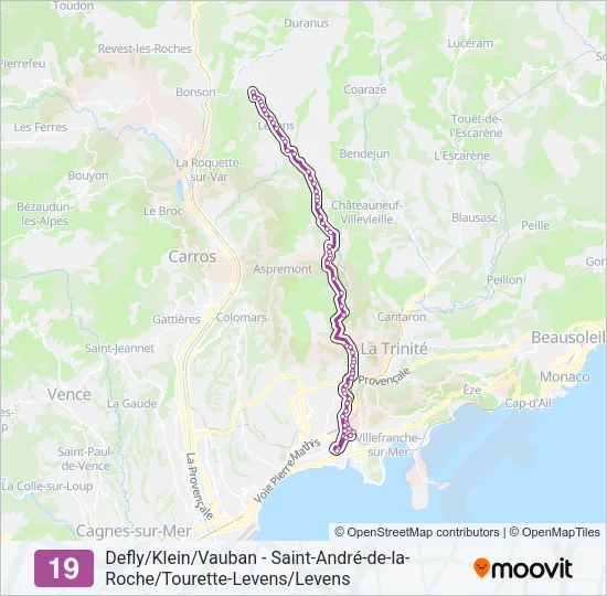 19 Bus Line Map