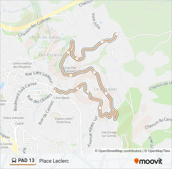 PAD 13 Bus Line Map