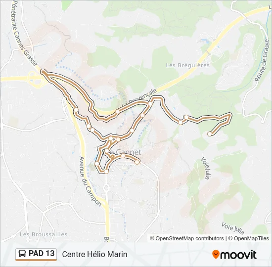 PAD 13 Bus Line Map