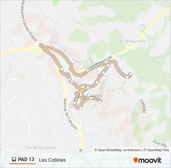 PAD 13 Bus Line Map