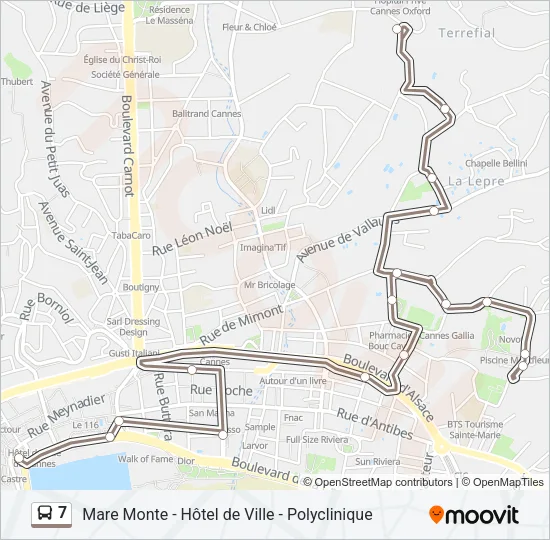 7 Bus Line Map