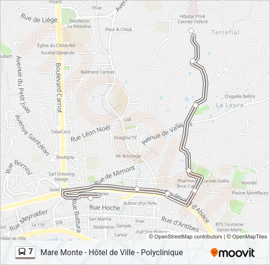 7 Bus Line Map