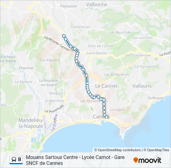 B Bus Line Map