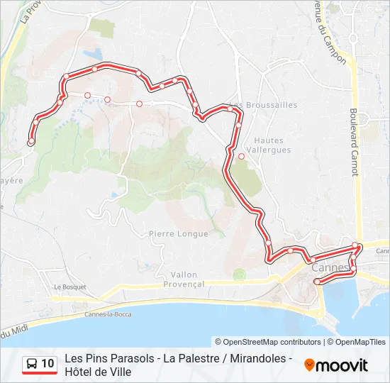 10 Bus Line Map