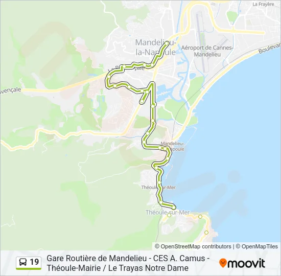 19 Bus Line Map