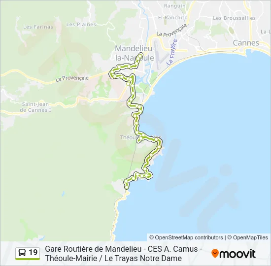 19 Bus Line Map