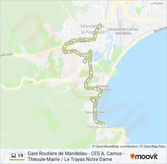 19 Bus Line Map