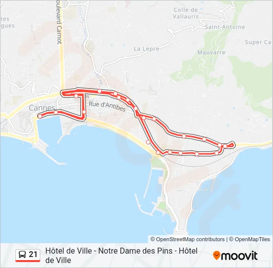 21 Bus Line Map