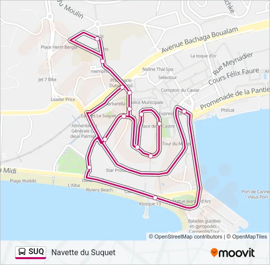 SUQ Bus Line Map