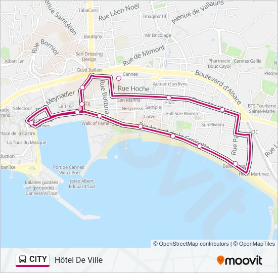 CITY Bus Line Map