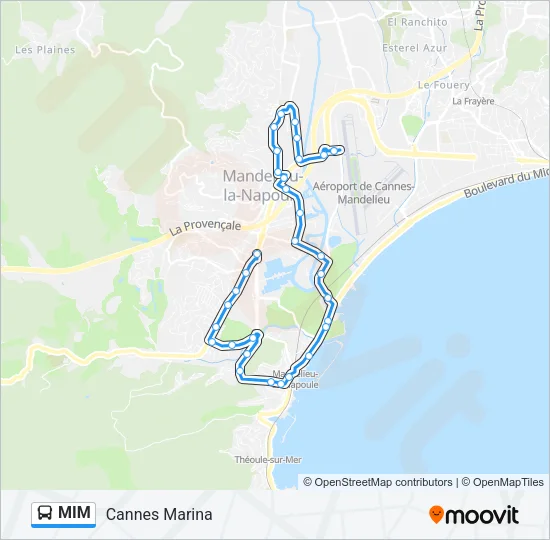 MIM Bus Line Map