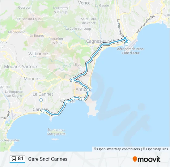 81 Bus Line Map