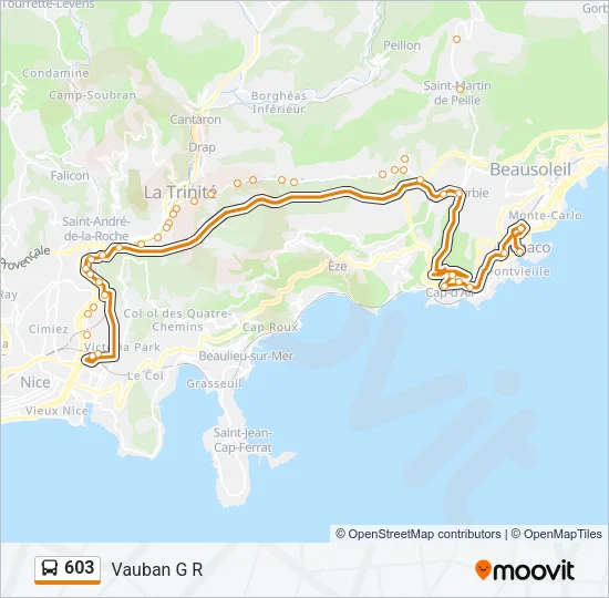 603 Bus Line Map