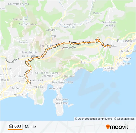 603 Bus Line Map