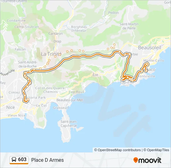 603 Bus Line Map