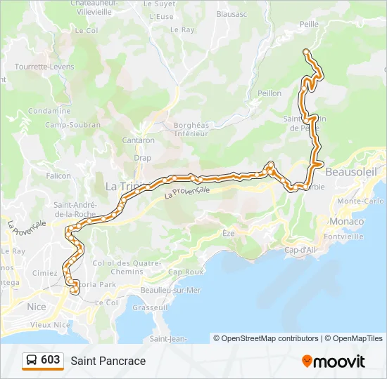 603 Bus Line Map