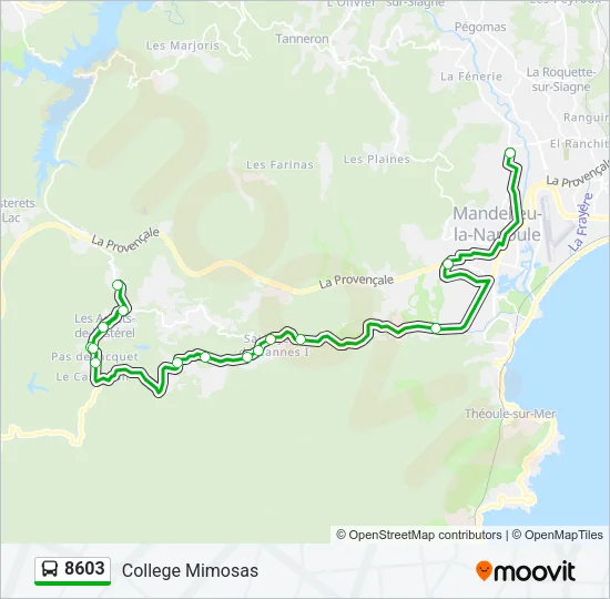 8603 Bus Line Map
