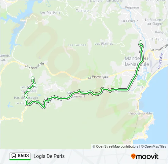 8603 Bus Line Map