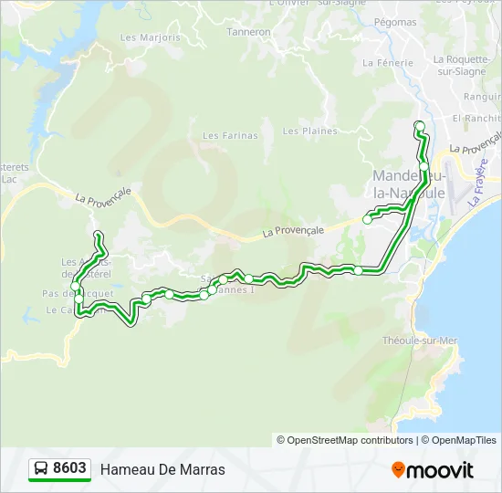 8603 Bus Line Map