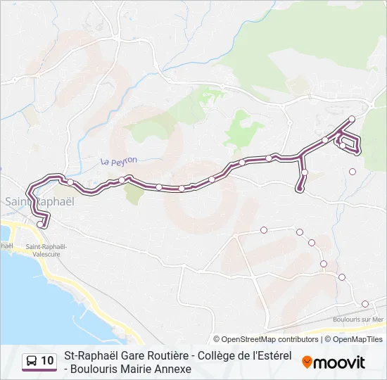 10 Bus Line Map