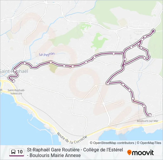10 Bus Line Map