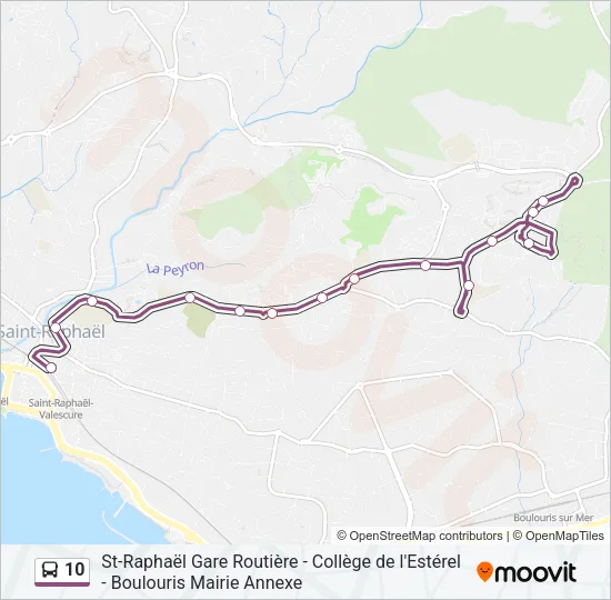 10 Bus Line Map