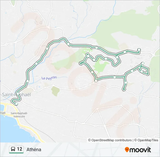 12 Bus Line Map