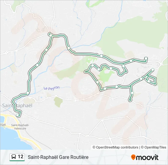 12 Bus Line Map