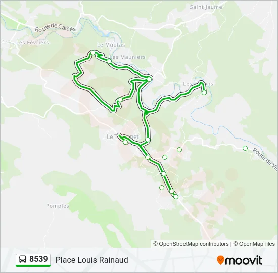 8539 Bus Line Map
