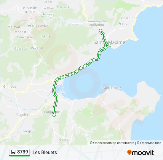 8739 Bus Line Map