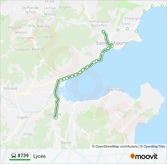 8739 Bus Line Map