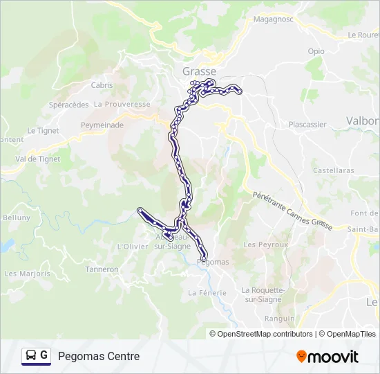 G Bus Line Map