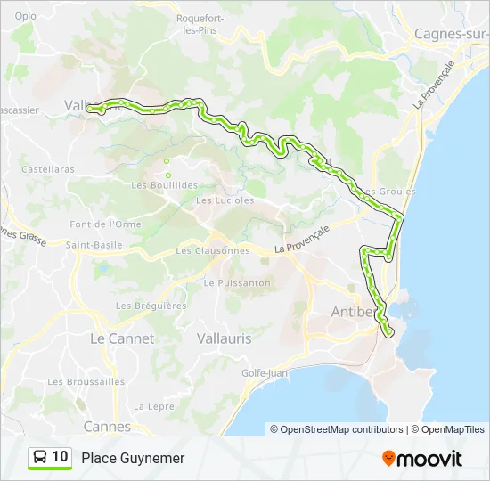 10 Bus Line Map
