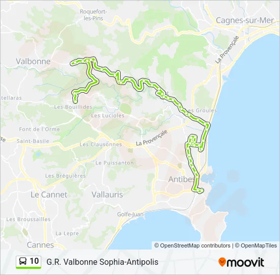 10 Bus Line Map