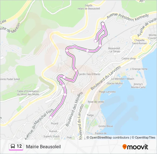 12 Bus Line Map