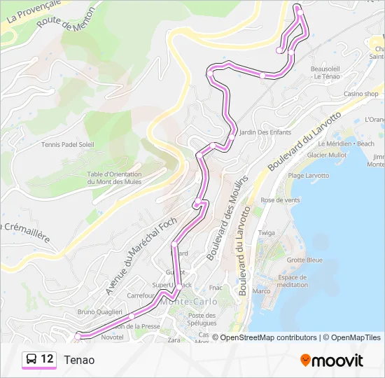 12 Bus Line Map